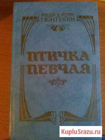 Птичка певчая Ефремов - изображение 1