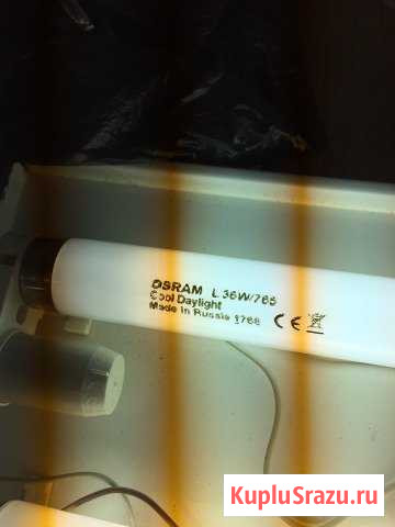 Лампы(Osram и Philips) на потолочные светильники Пыть-Ях - изображение 1