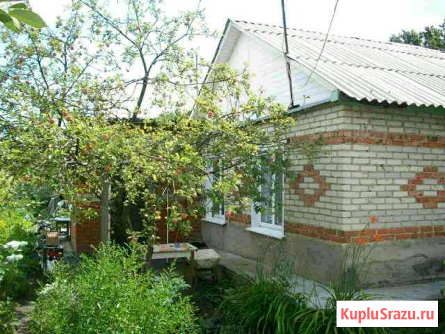 Дом 34 кв.м. на участке 3 сот. Сердобск - изображение 1