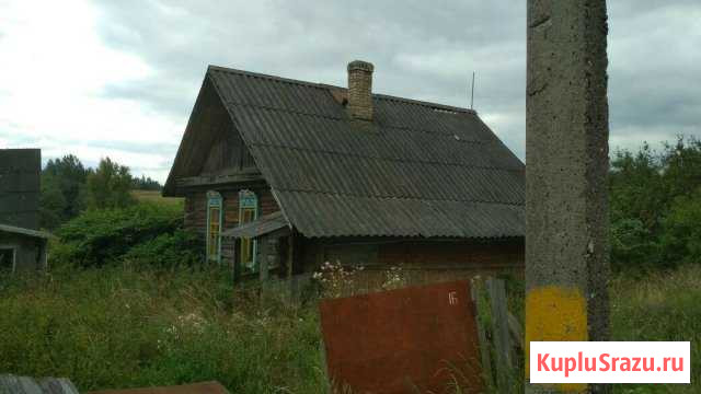 Дом 35 кв.м. на участке 50 сот. Невель - изображение 1