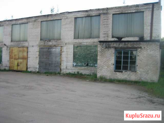 Производственное помещение, 1800 кв.м. Струги Красные - изображение 1