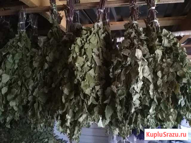 Веники Кугеси - изображение 1