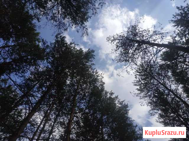  Воскресенск - изображение 1