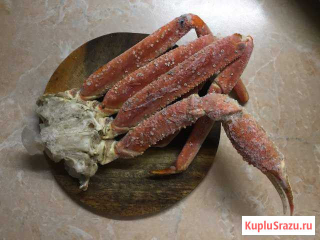 Краб стригун Домодедово - изображение 1