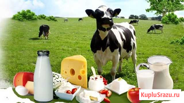 Молочные продукты из фермерского хоз-ва Луховицы - изображение 1