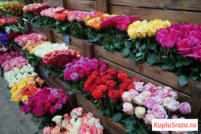 Доставка цветов оптом и в розницу Ногинск - изображение 1