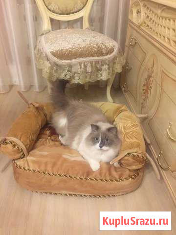 Лежанка Домодедово - изображение 1