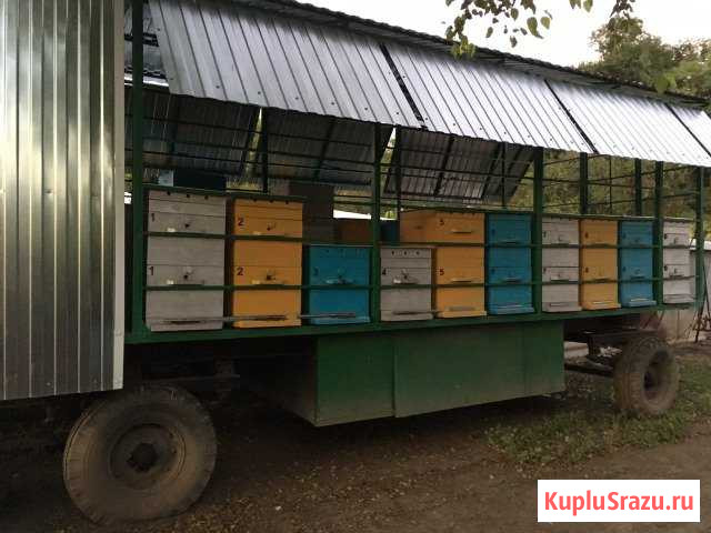 Продам новый пчелоприцеп с новыми ульями Лабинск - изображение 1
