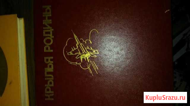 Крылья Родины Таганрог - изображение 1