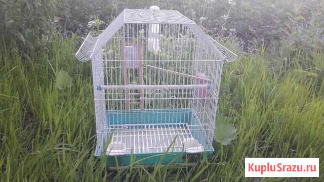 Клетка Верхняя Пышма - изображение 1