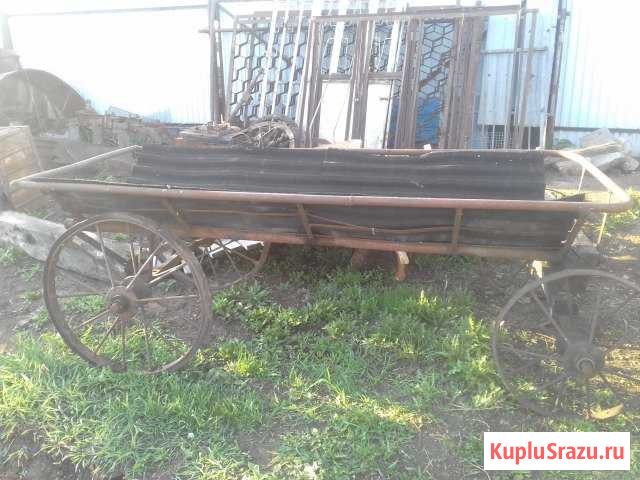Товары для животных Нижнекамск - изображение 1