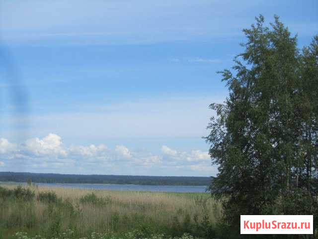  Выборг - изображение 1