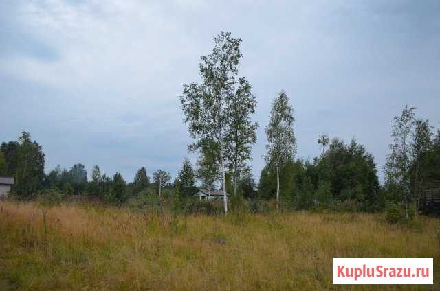  Мга - изображение 1