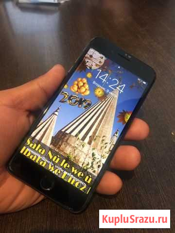 Ipxone 8+ Луга - изображение 1