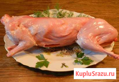 Мясо кролика Магадан - изображение 1