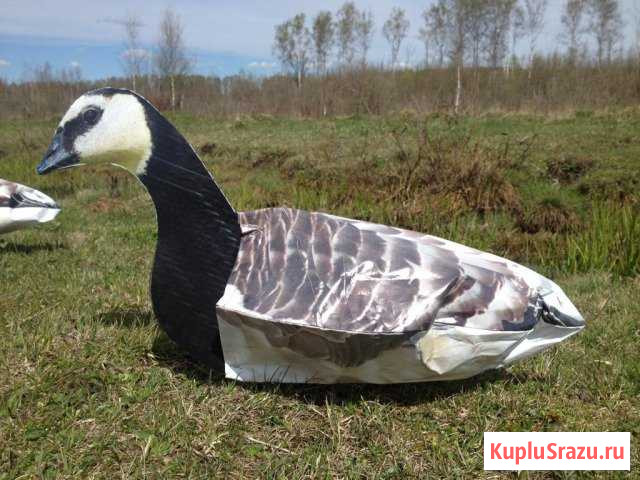 Профиля (приманки) гусей Северодвинск - изображение 1
