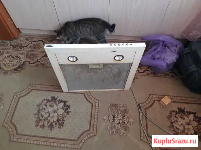 Вытяжка Брянск - изображение 1