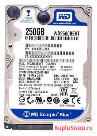 Trade In Western Digital WD Blue Mobile 250 GB Воронеж