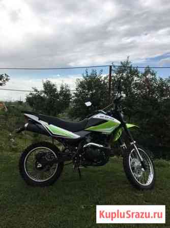 Racer Panther RC 250 Таловая