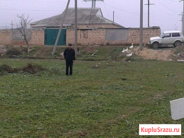  Дербент - изображение 1