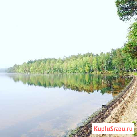 Дом 40 кв.м. на участке 12 сот. Пряжа - изображение 1