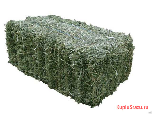 Сено полевое тюк 20кг Митрофановка - изображение 1