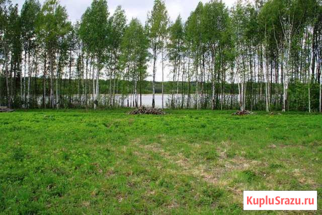  Кондопога - изображение 1
