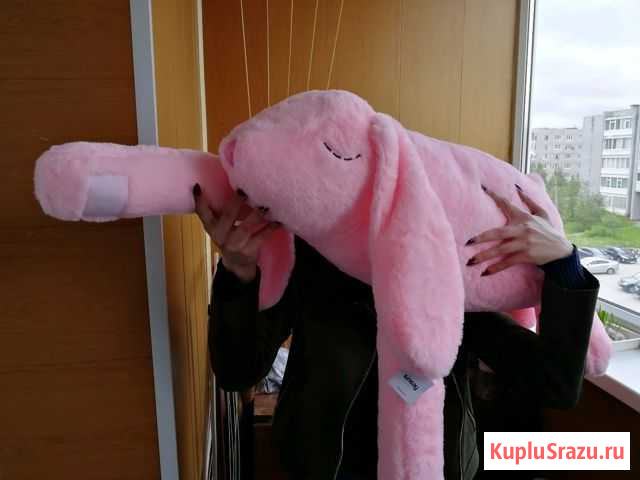 Кролик Полярные Зори - изображение 1