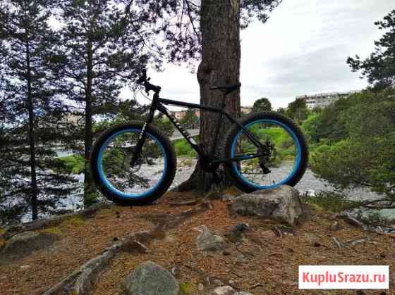 Fat bike Кандалакша