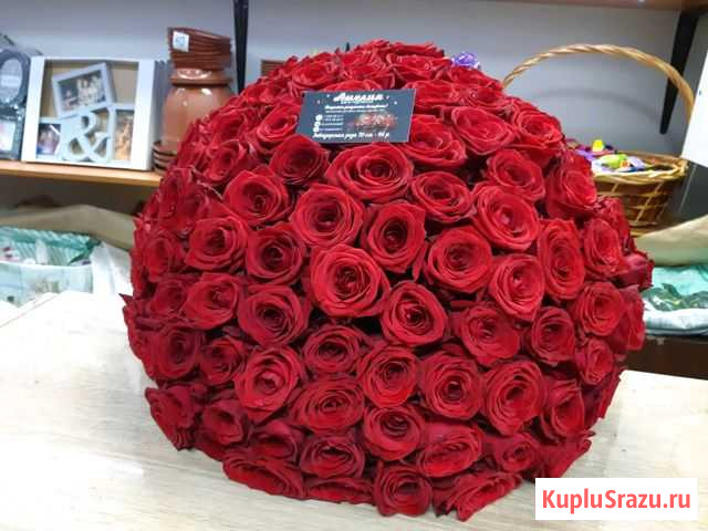 Розочки Мурманск - изображение 1