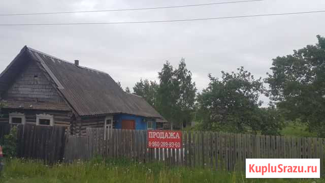 Дом 30 кв.м. на участке 12 сот. Сольцы - изображение 1
