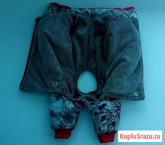 Комбинезон для собак мелких пород собак Котельнич - изображение 1