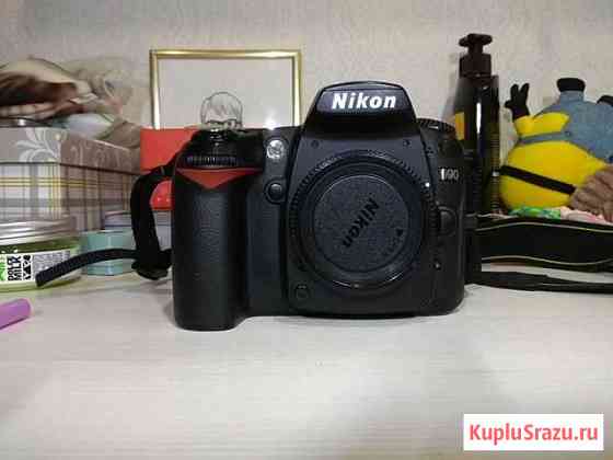 Nikon D90, объектив 18-200mm Киров