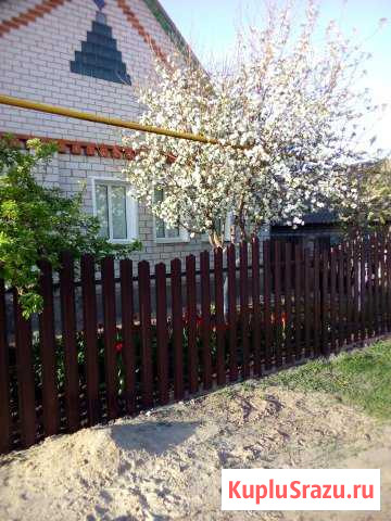 Дом 120 кв.м. на участке 11 сот. Черницыно - изображение 1