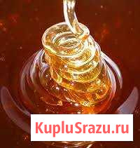 Мёд Майский Акация 2019 Грязи - изображение 1