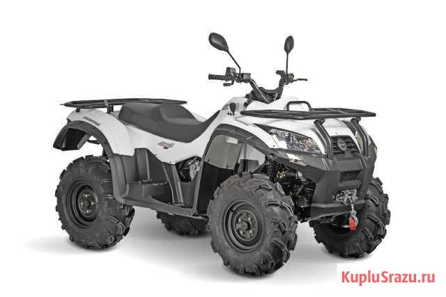 Квадроцикл Batlmotors Jumbo 700 Max Basic EFI Мурманск - изображение 1