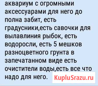 Аквариум Ливны - изображение 1