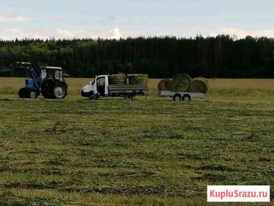 Сено в тюках и рулонах Кузнецк