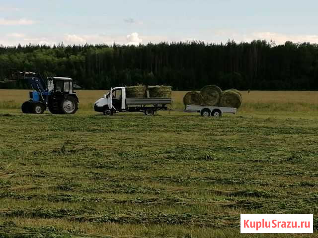 Сено в тюках и рулонах Кузнецк - изображение 1