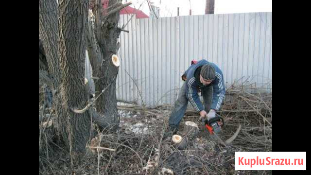 Спил деревьев Будённовск - изображение 1