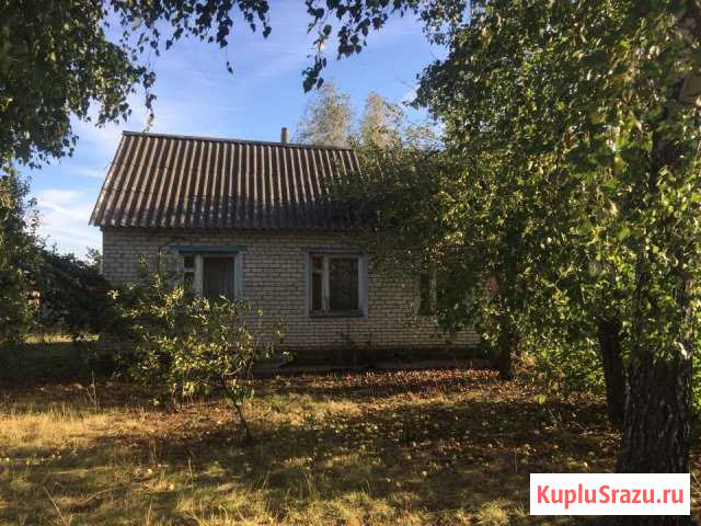 Дом 46 кв.м. на участке 20 сот. Петровское - изображение 1