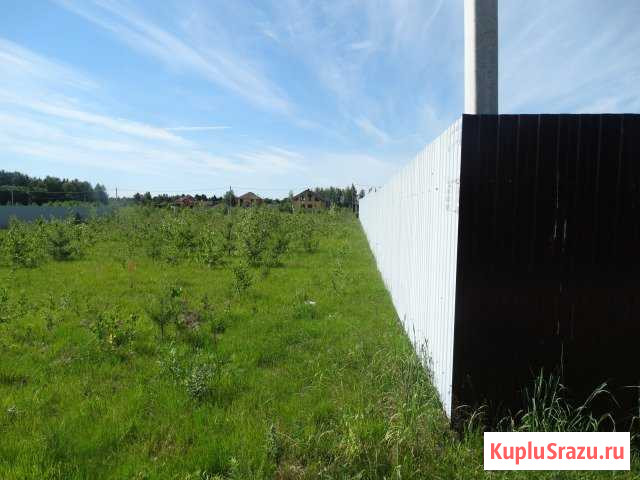  Красные Ткачи - изображение 1