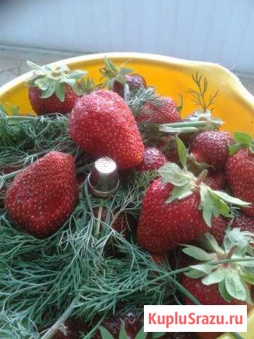  Балаково - изображение 1