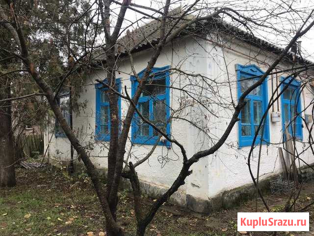  Павлодольская - изображение 1