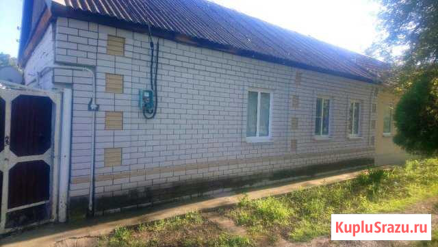  Благодарный - изображение 1