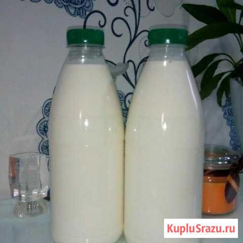 Продам молоко коровье Удомля - изображение 1