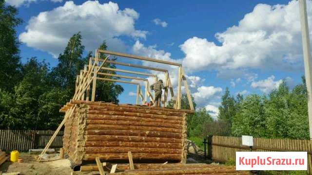 Срубы. Дома. Бани Нижневартовск - изображение 1