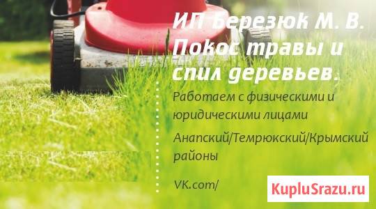 Покос травы, спил деревьев, расчистка участков Анапа - изображение 1