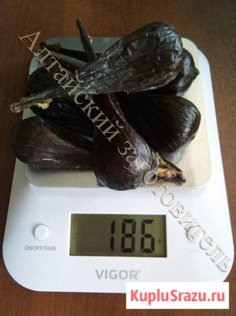 Медвежья желчь сухая Томск - изображение 2