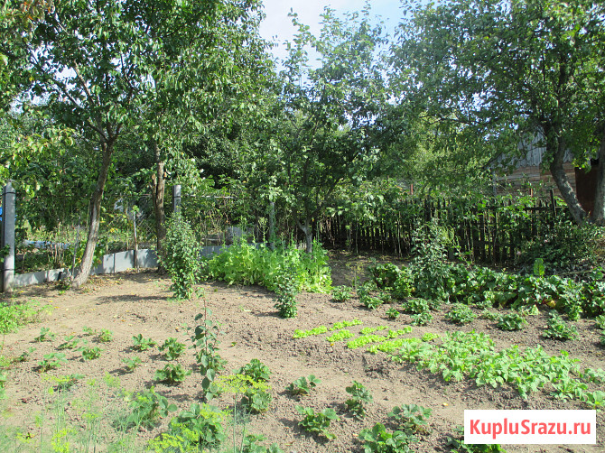 Дача 20 м² на участке 5 сот. на продажу во Владимире Владимир - изображение 4